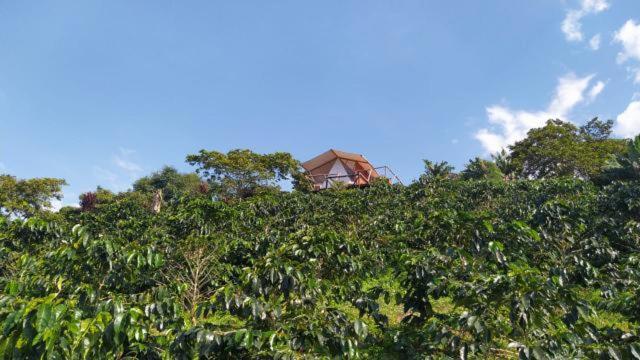Hotel Glamping Orosierra Chinchiná Exterior foto
