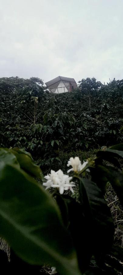 Hotel Glamping Orosierra Chinchiná Exterior foto